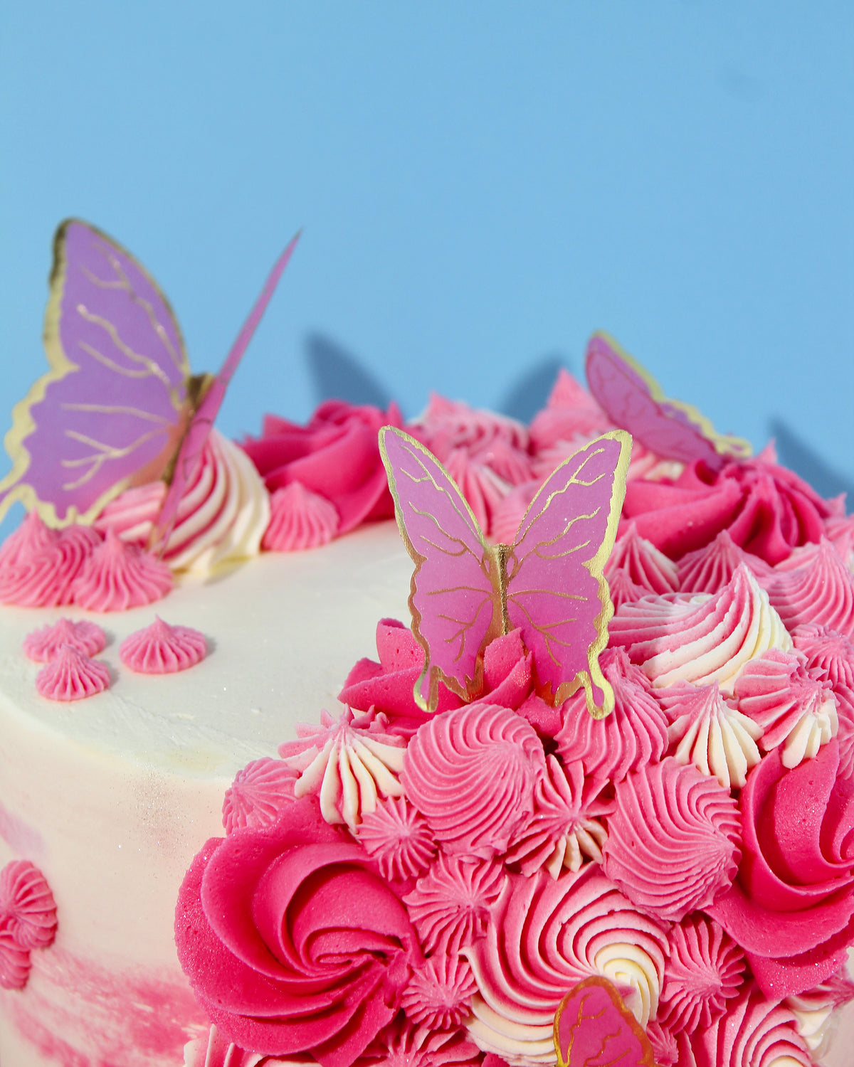 Vegan Butterfly Cake | Order Yours Now | Amy's Bakehouse | Amys Bakehouse