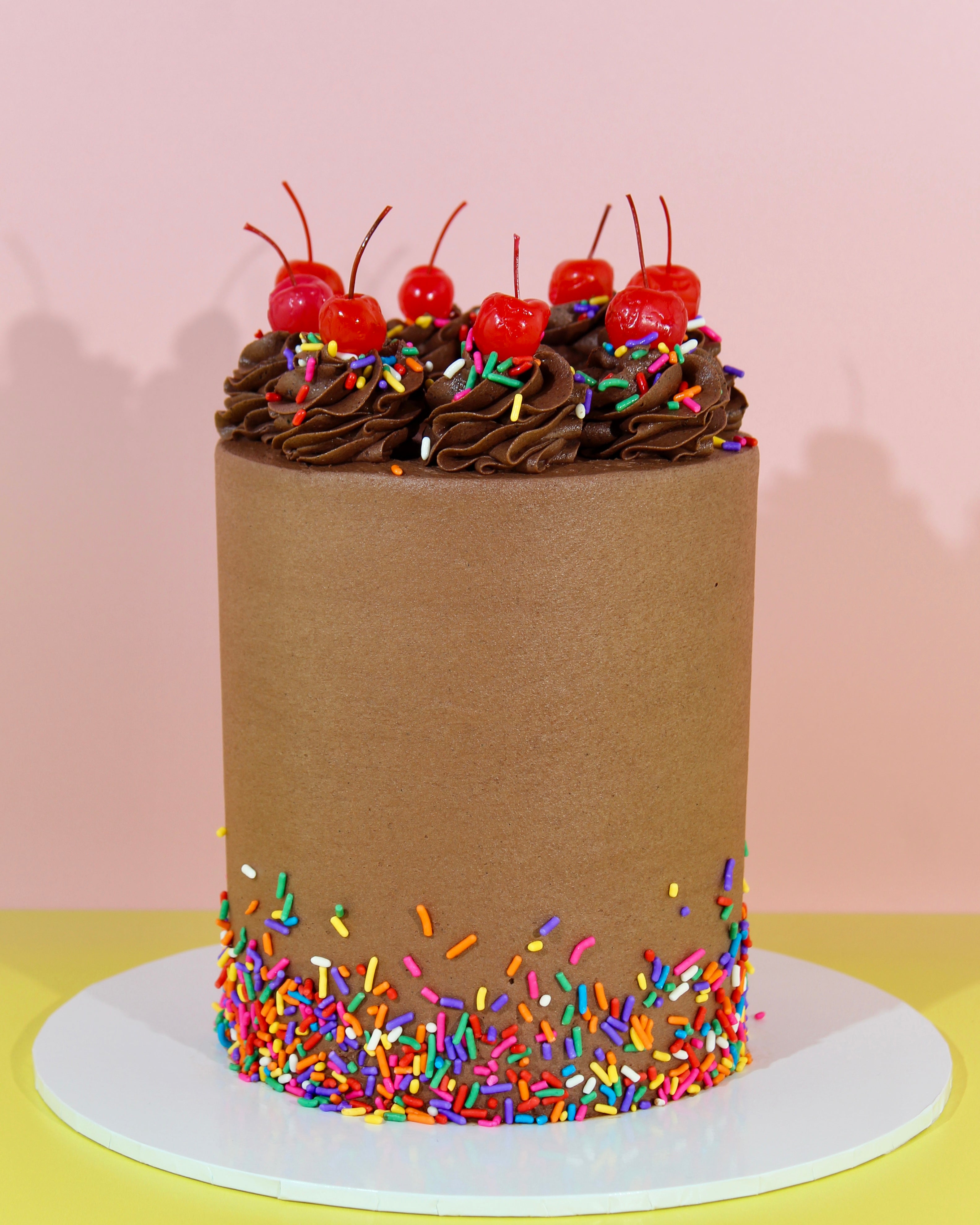 classic chocolate sprinkle cake
