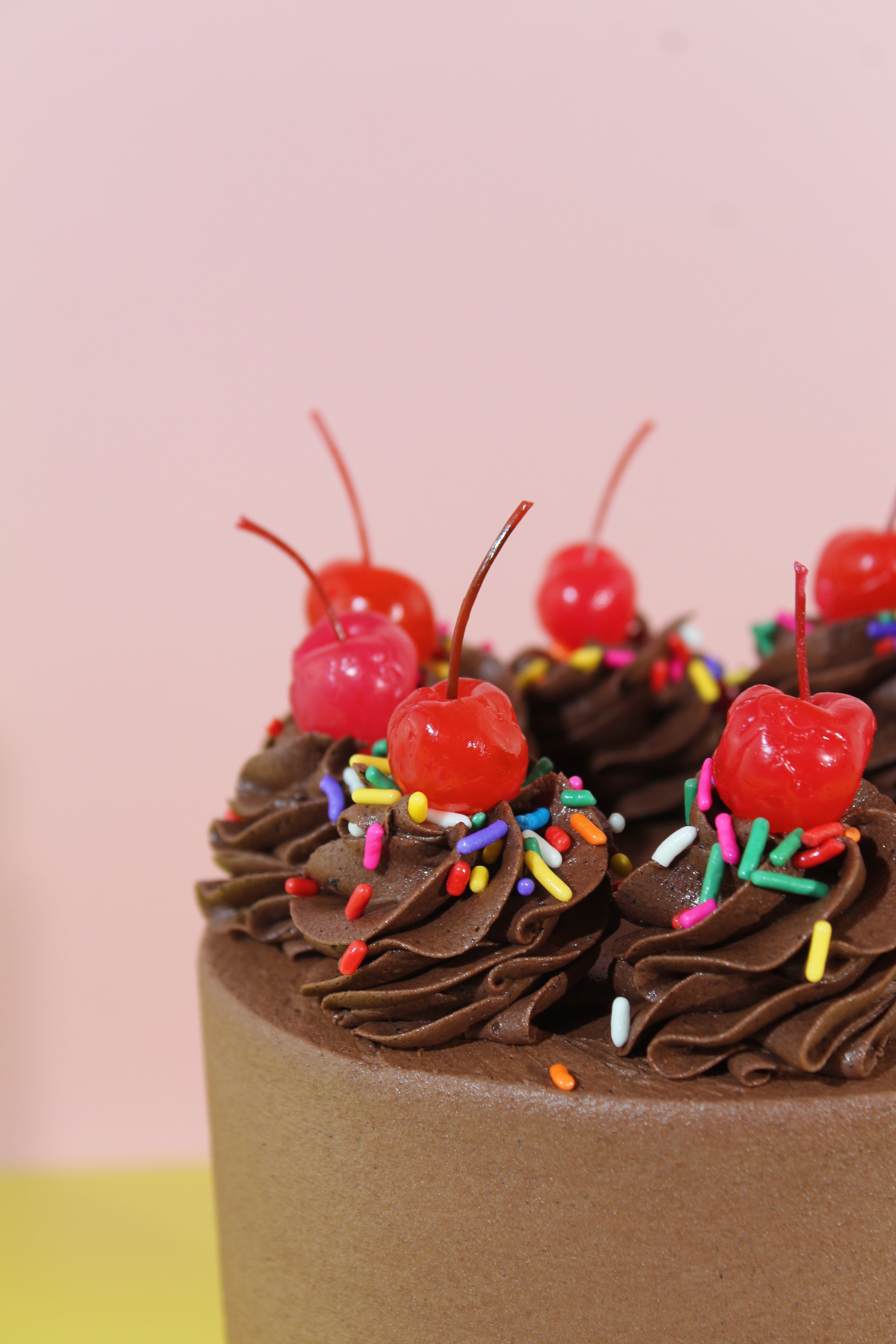 fun chocolate party cake sprinkles
