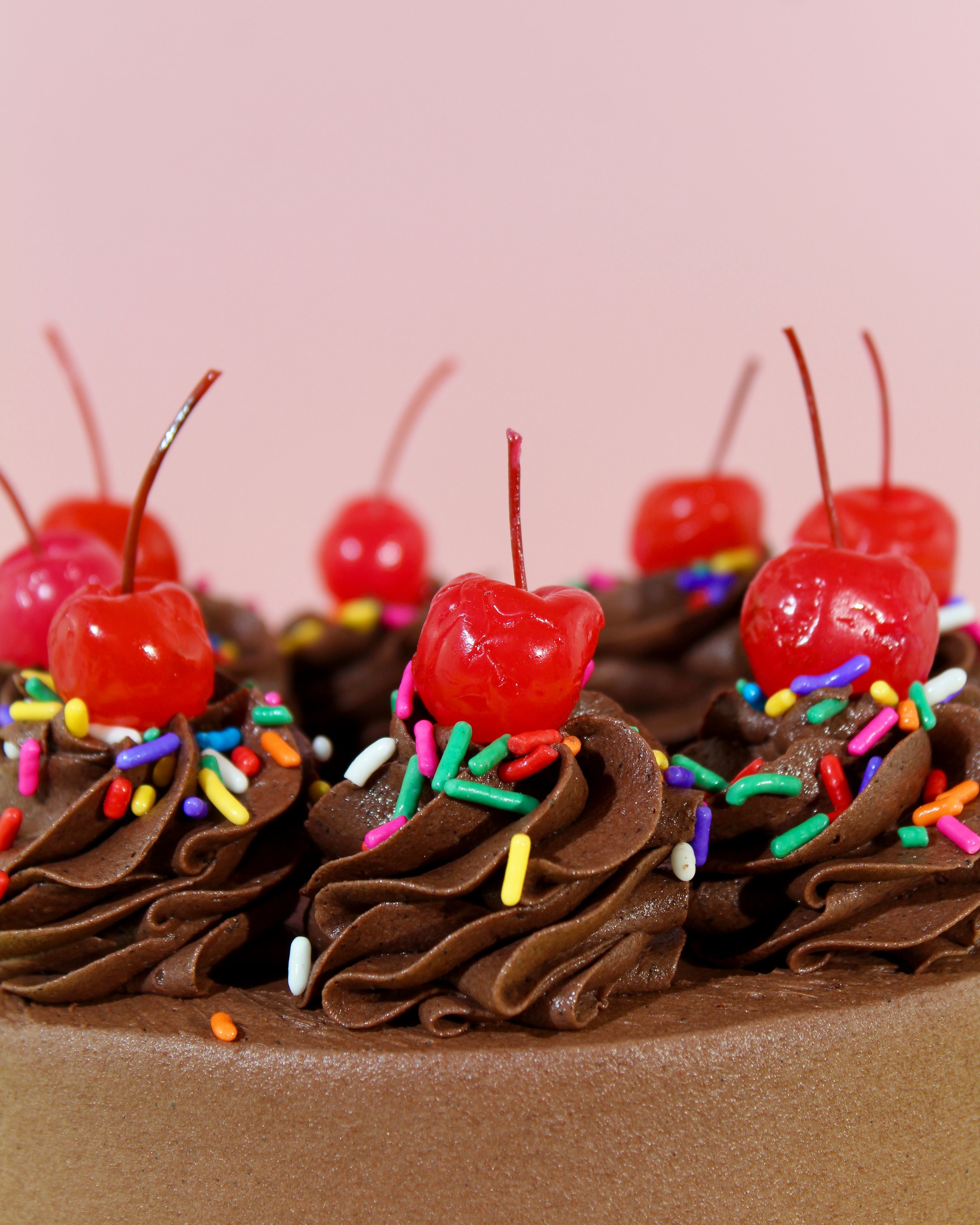 chocolate cake with rainbow sprinkles