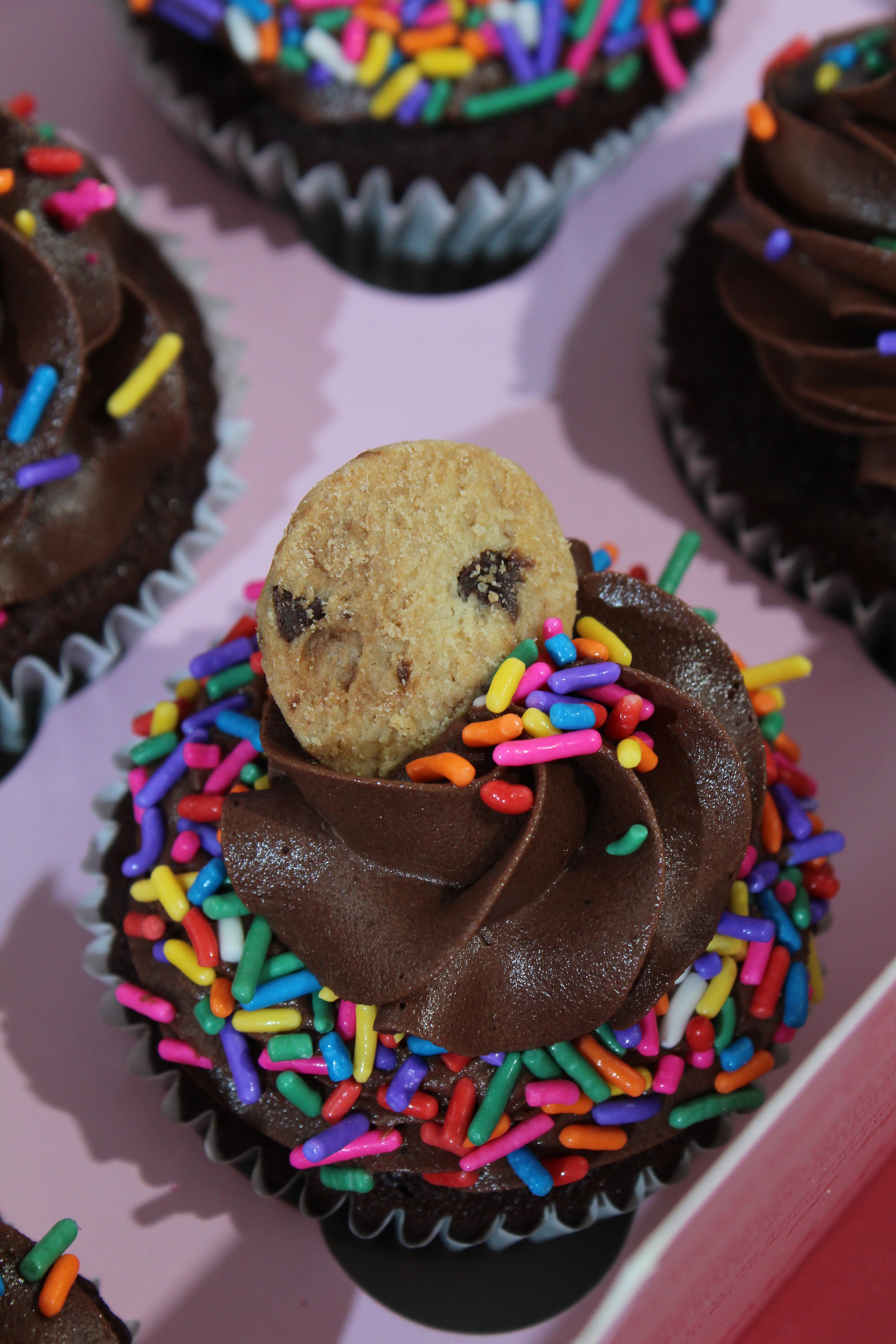 Chocolate sprinkle cupcakes with chocolate frosting