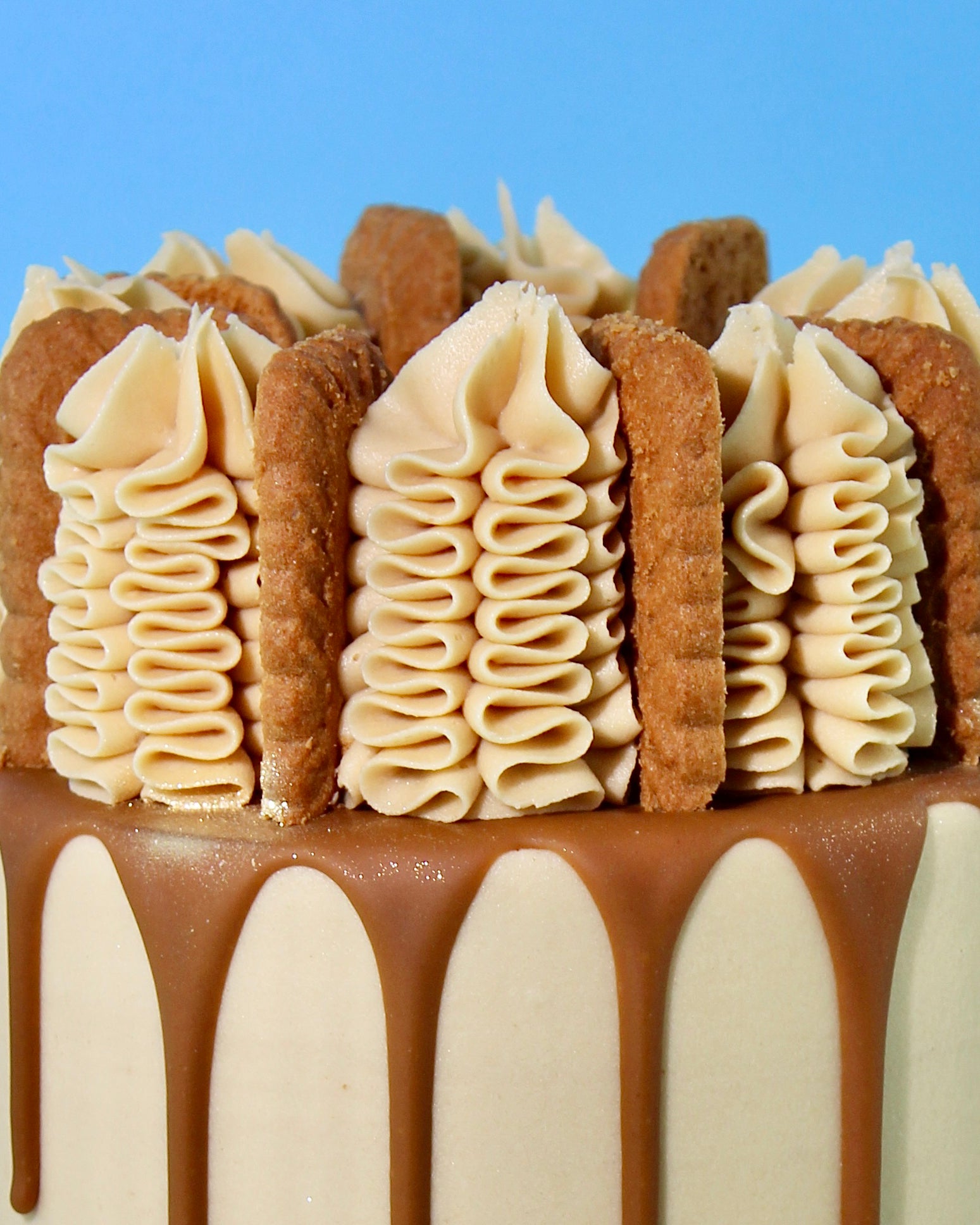 Vegan Lotus Biscoff Cake