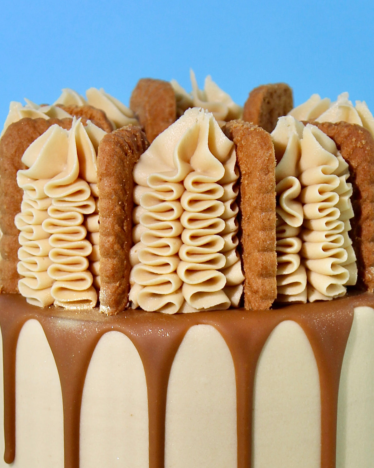 Vegan Lotus Biscoff Cake | Order Yours Now | Amy's Bakehouse | Amys ...