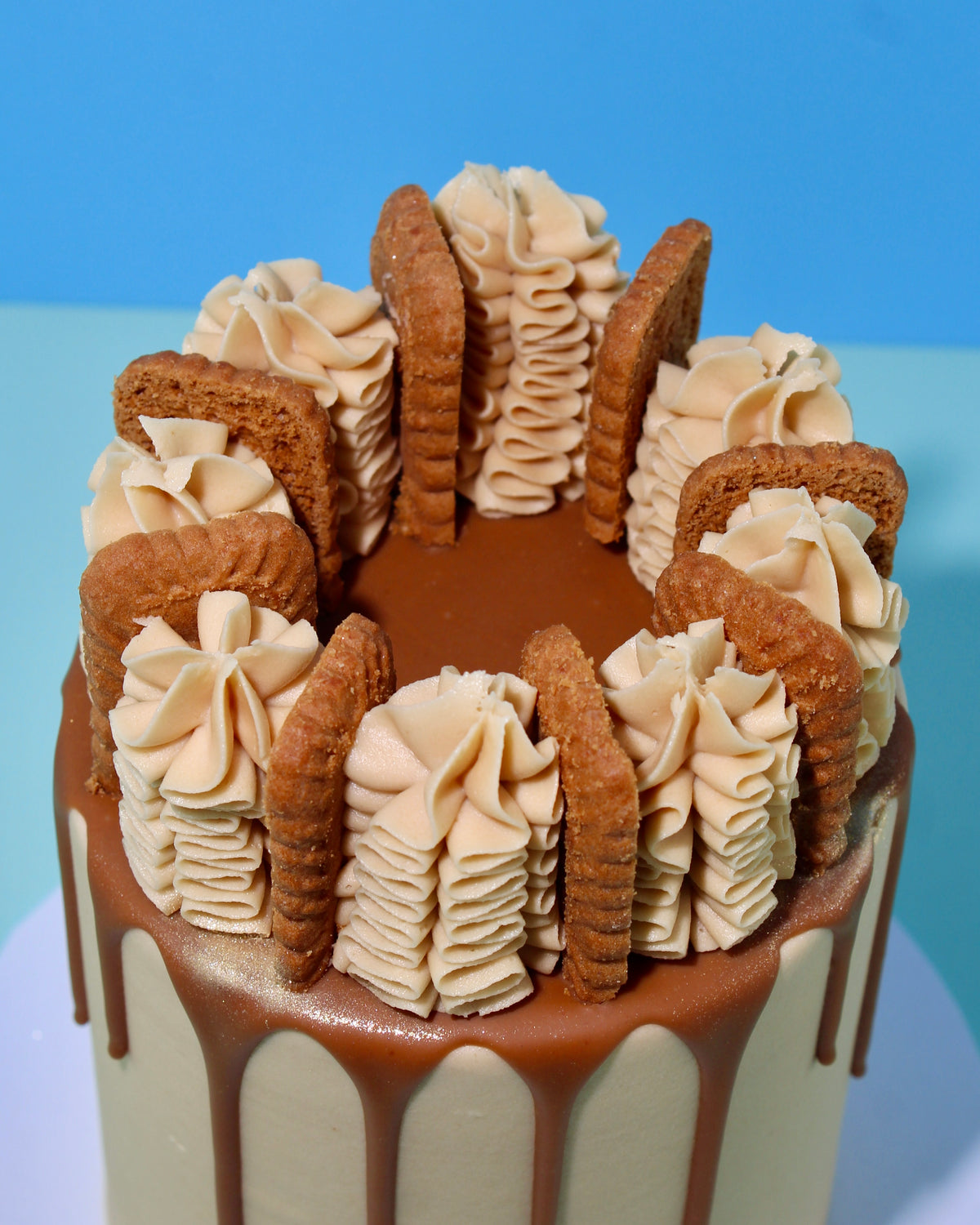 Vegan Lotus Biscoff Cake | Order Yours Now | Amy's Bakehouse | Amys ...