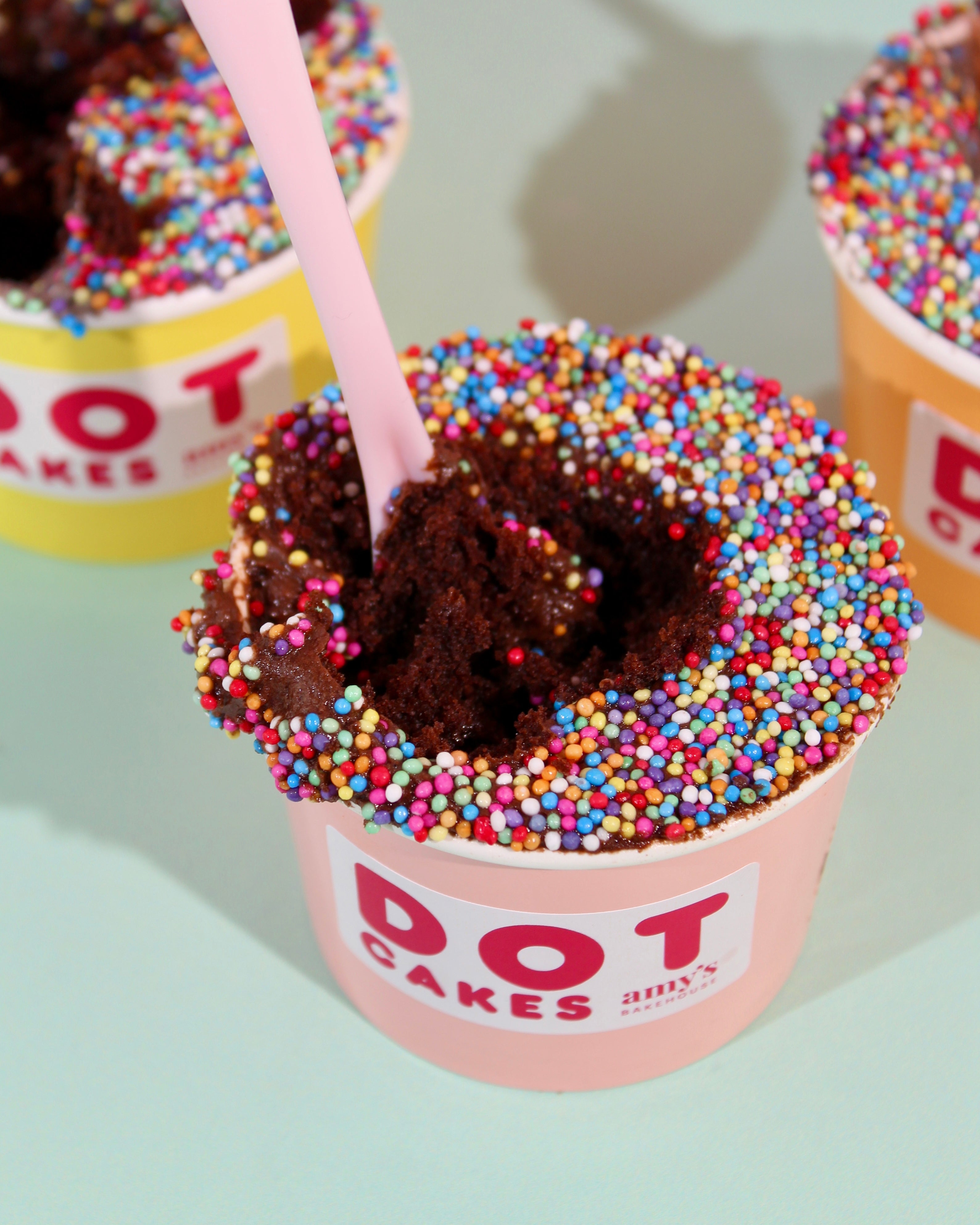 Inside of a chocolate Dot Cake pot showing rich moist cake beneath rainbow dot sprinkle topping