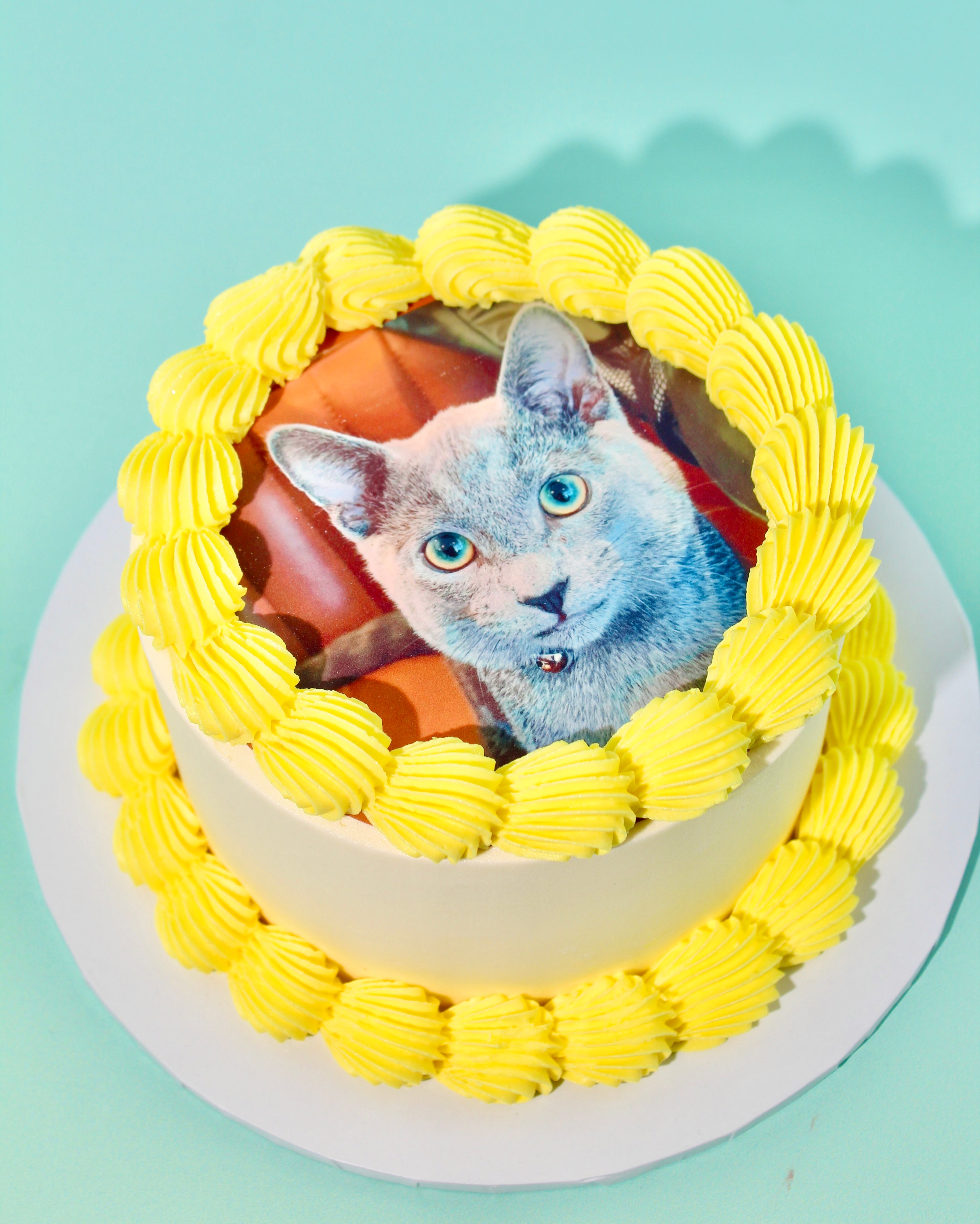 Photo Cake