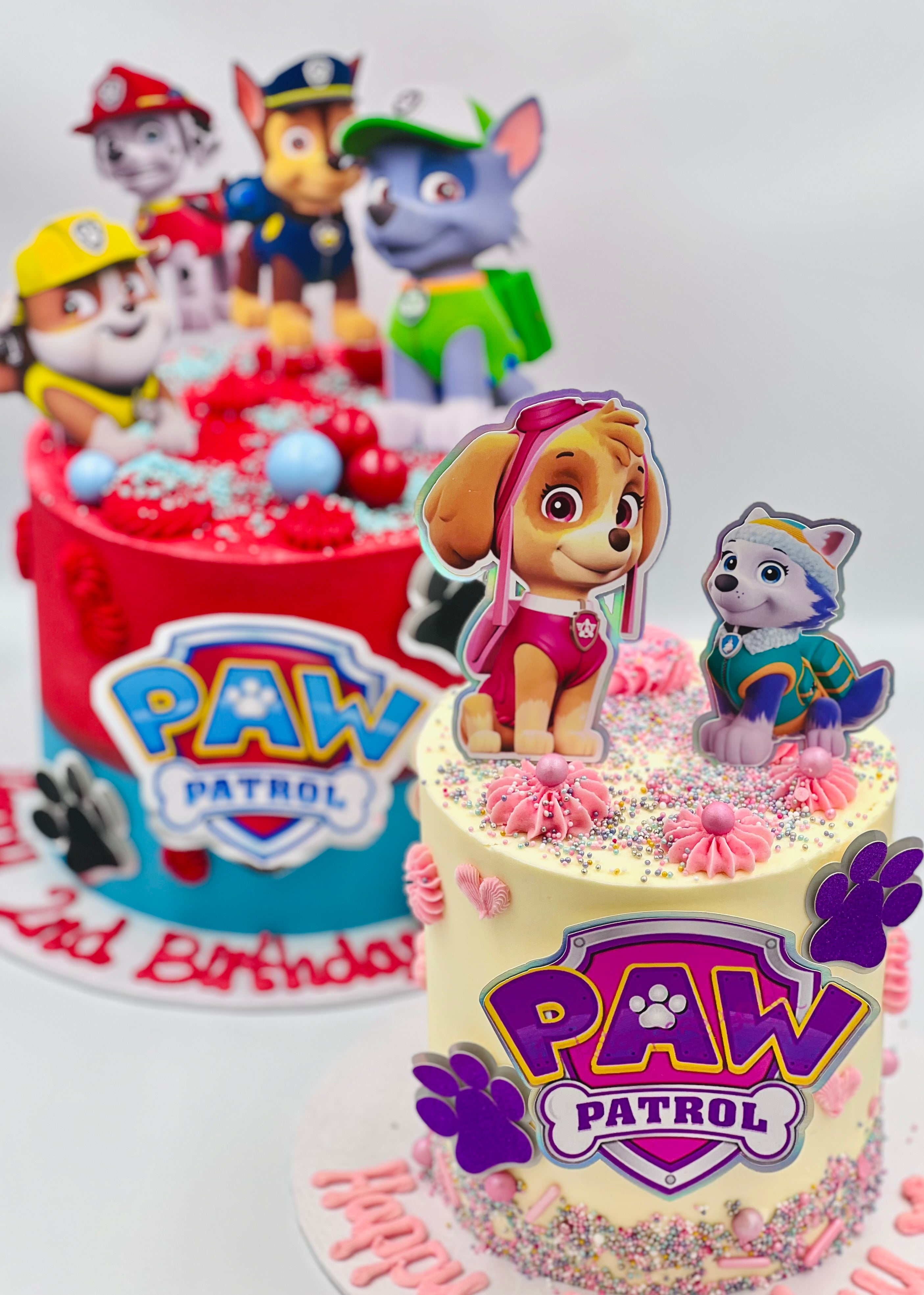 Paw Patrol Cake Amys Bakehouse